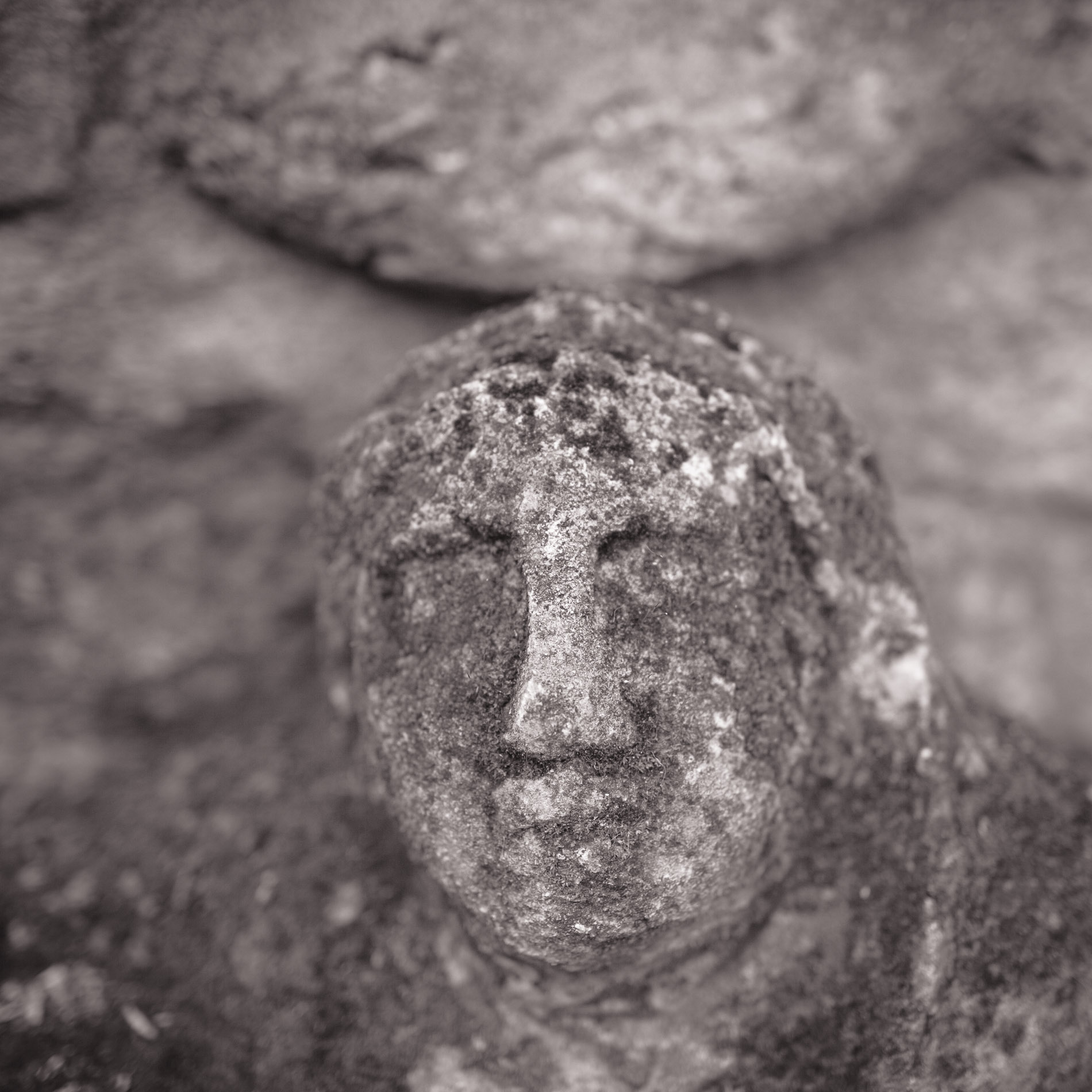 Twelve Etruscan Heads i<br/>(funerary stone), Viterbo, Italy. March 2010