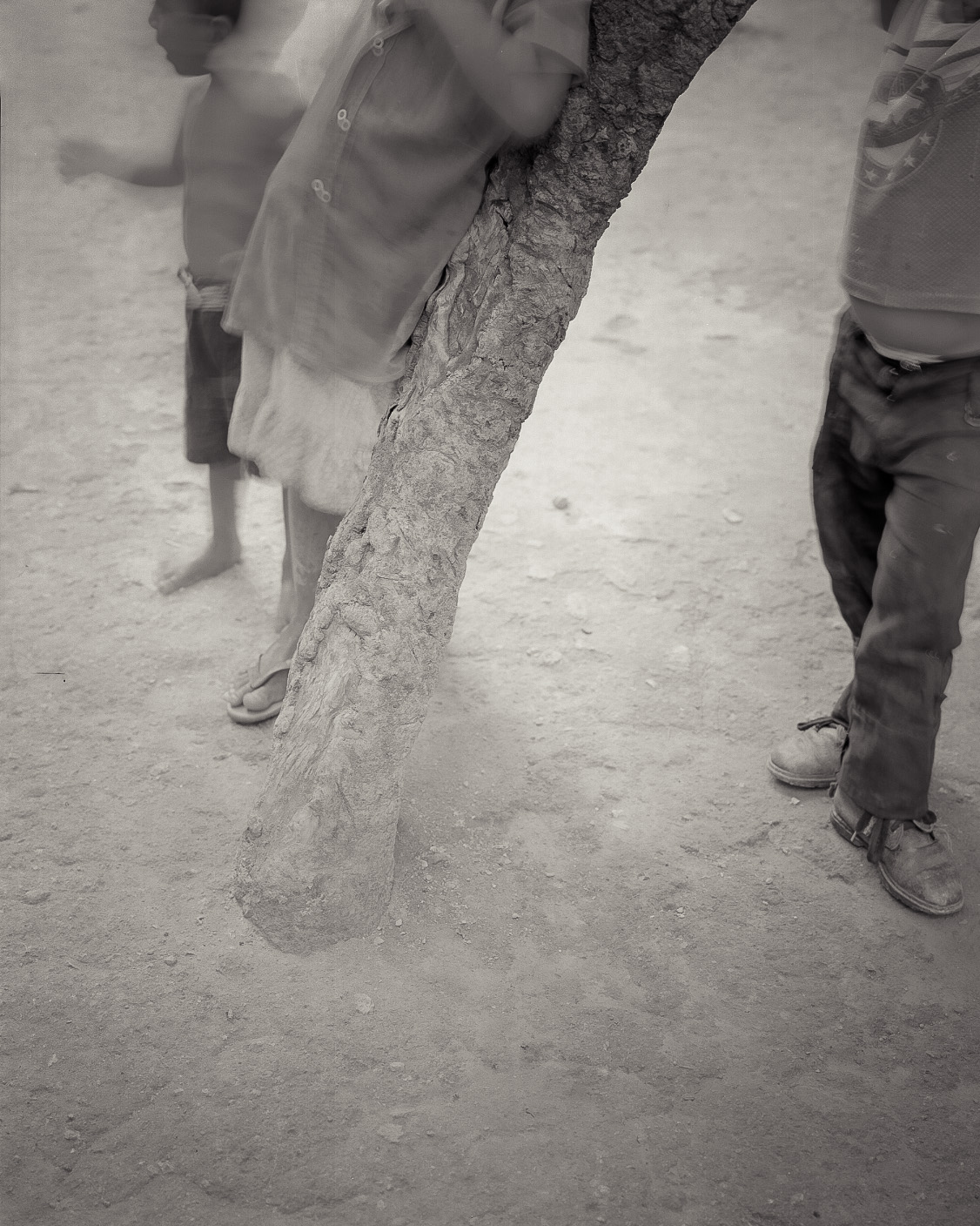 Feet. Trunk. Honduras. 1995. platinum-palladium print. 8x10 inches